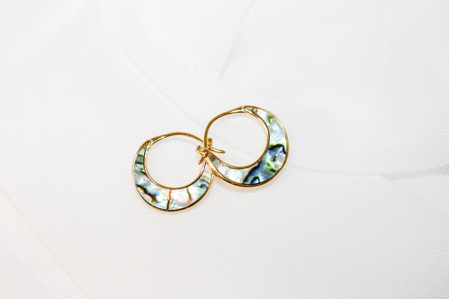 Abalone Shell Hoop Earrings