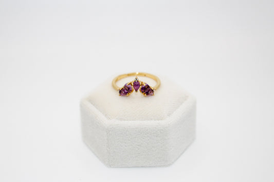 Amethyst Crown